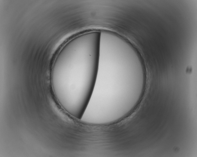 X0000114140934200910081022