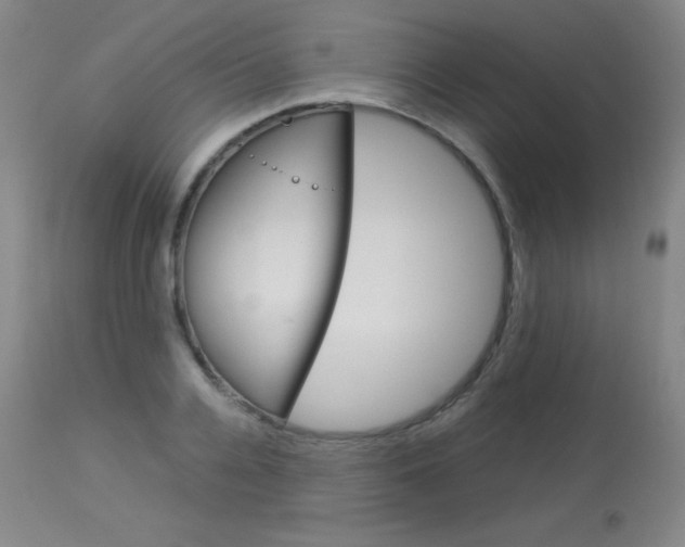 X0000114140936200910081022