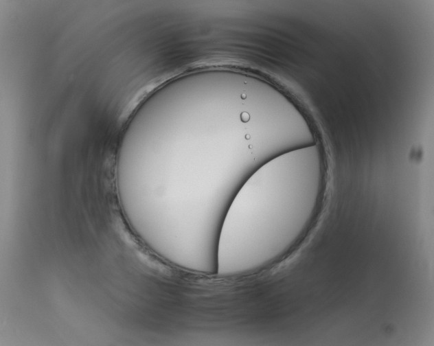 X0000114140937200910081022