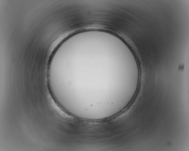 X0000114140941200910081022