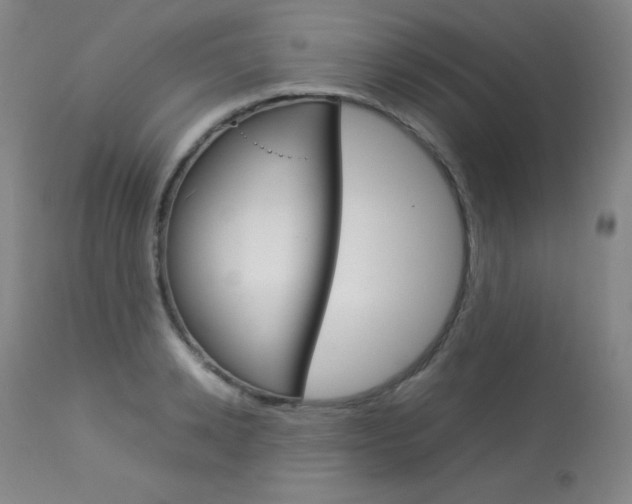 X0000114140942200910081022