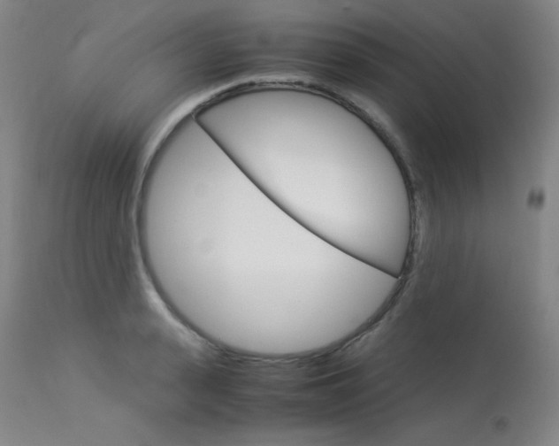 X0000114140943200910081022