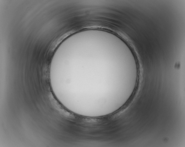 X0000114140945200910081023