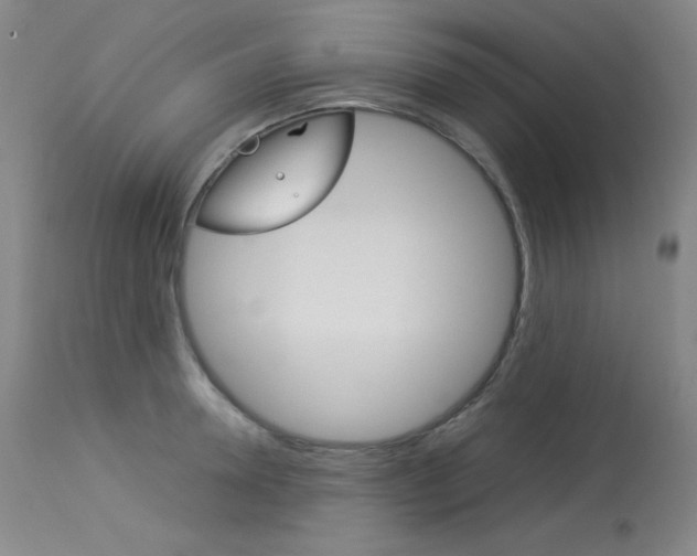 X0000114140946200910081023