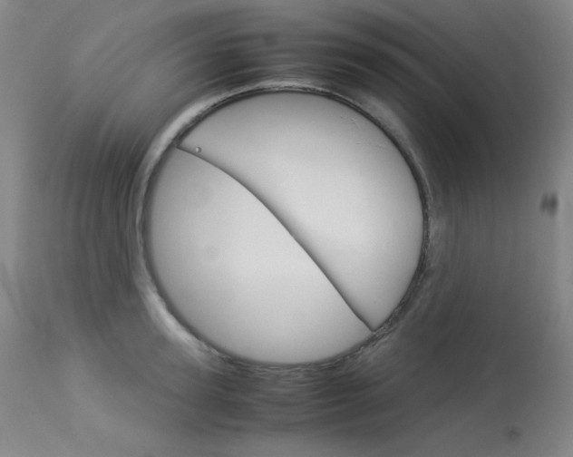 X0000114140947200910081023