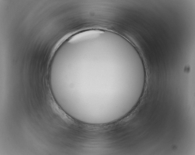 X0000114140948200910081023