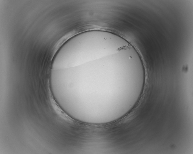 X0000114140954200910081023