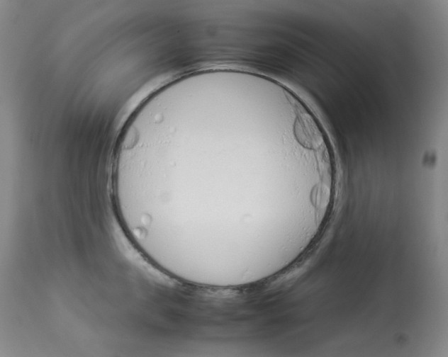 X0000114140957200910081023