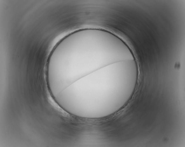X0000114140958200910081023