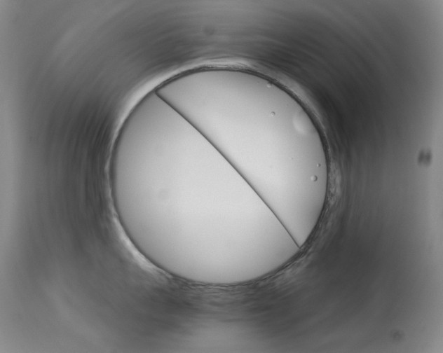 X0000114140959200910081023
