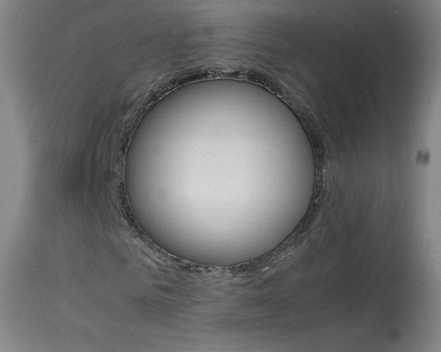 X0000114140961200910081022