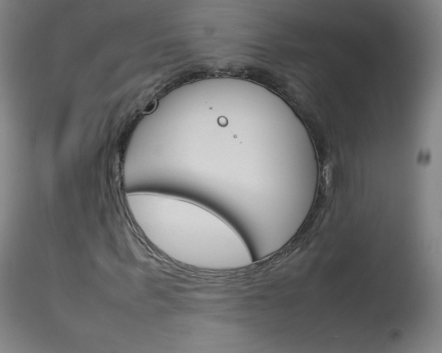 X0000114140963200910081022