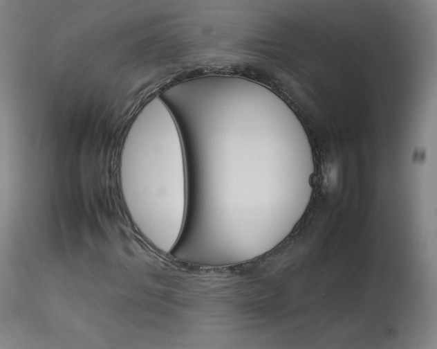X0000114140964200910081022