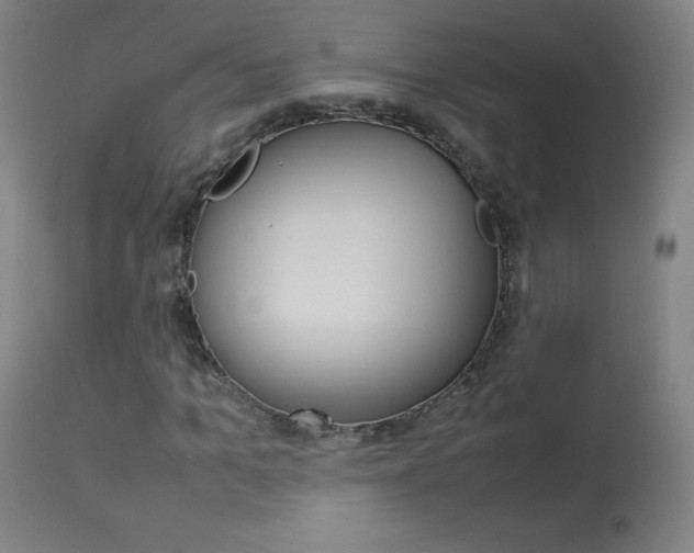 X0000114140965200910081022