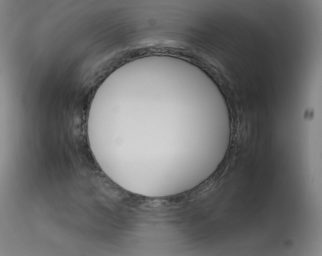 X0000114140966200910081022