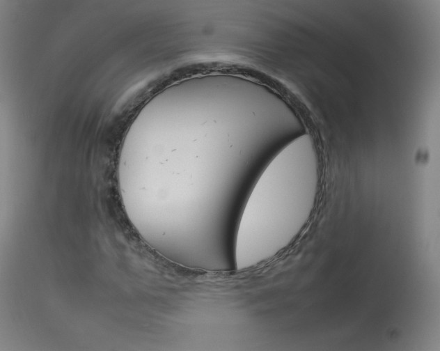 X0000114140967200910081022