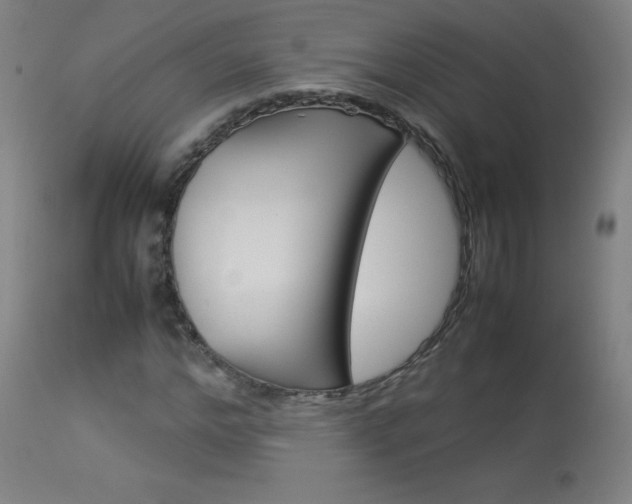 X0000114140968200910081022