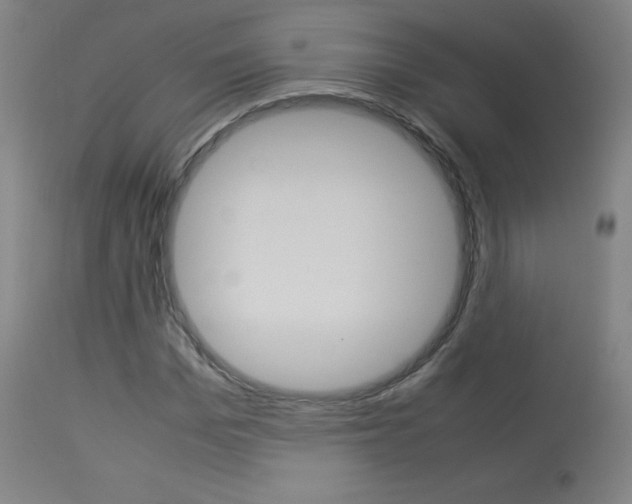X0000114140969200910081022