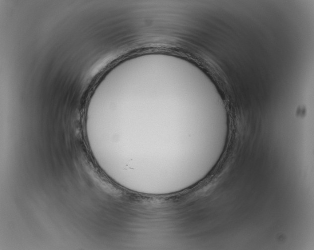 X0000114140970200910081022