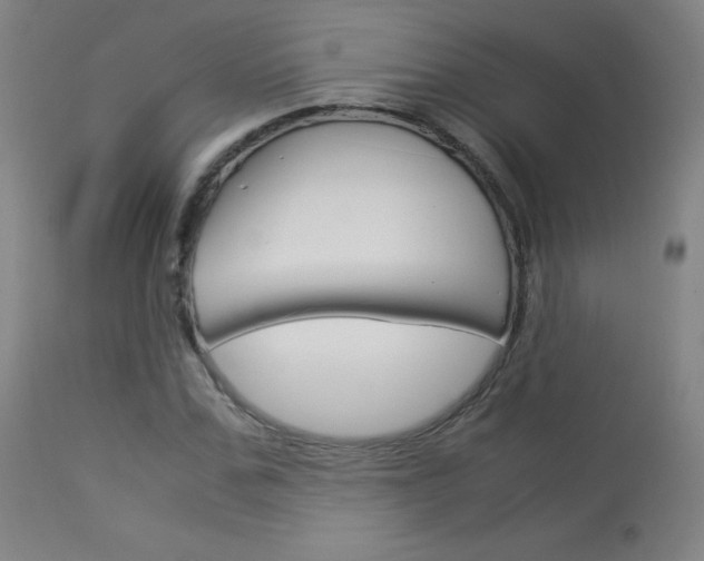 X0000114140971200910081022