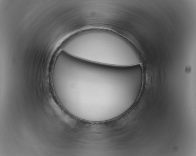 X0000114140972200910081022
