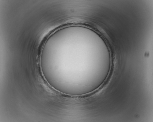 X0000114140973200910081022