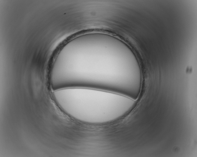 X0000114140975200910081022