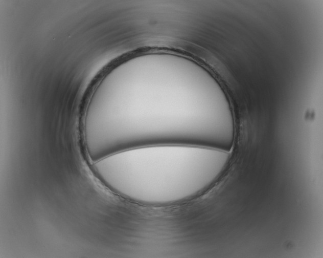 X0000114140976200910081022