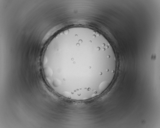 X0000114140978200910081022