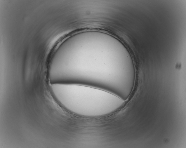 X0000114140979200910081022