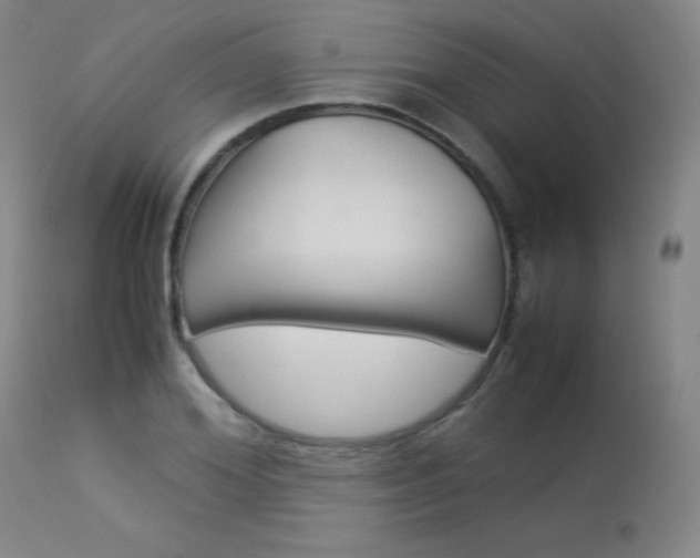 X0000114140980200910081022