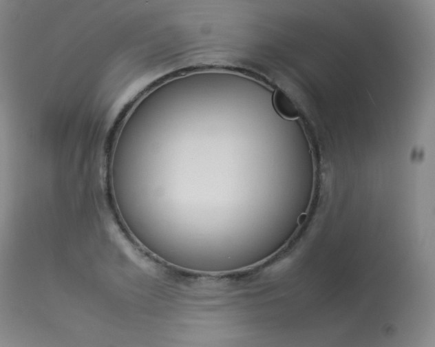 X0000114140981200910081022