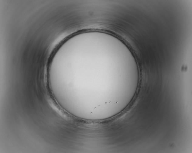 X0000114140982200910081022