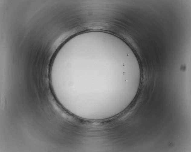 X0000114140986200910081022