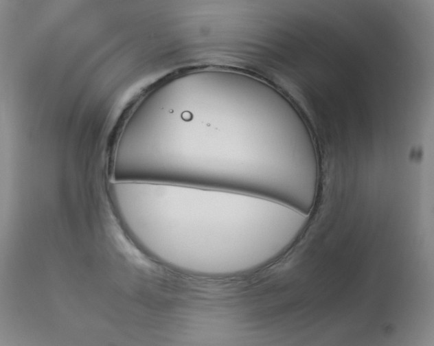 X0000114140987200910081022
