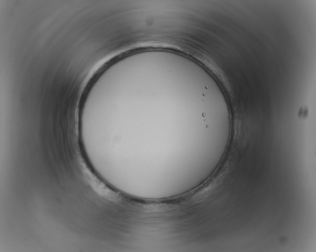 X0000114140988200910081022