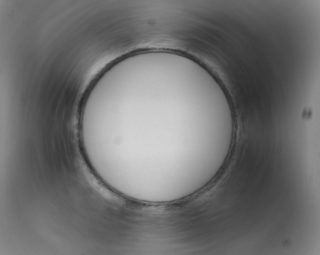 X0000114140990200910081022
