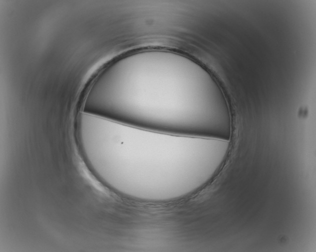 X0000114140991200910081022