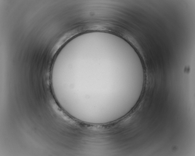 X0000114140994200910081022