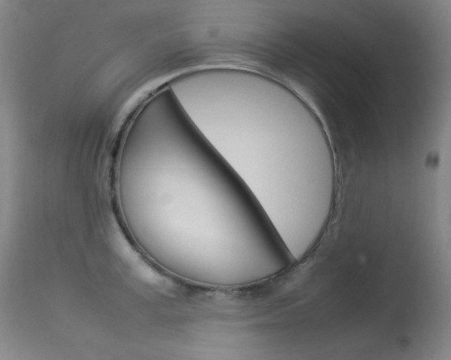 X0000114140995200910081022