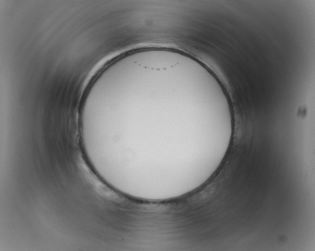 X0000114140996200910081022