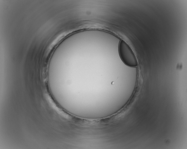 X0000114140997200910081022