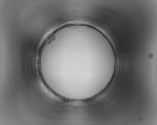 X0000114140998200910081022