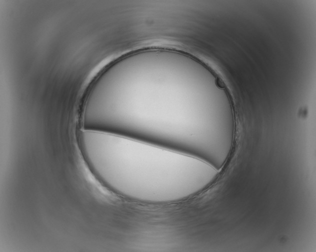 X0000114140999200910081022