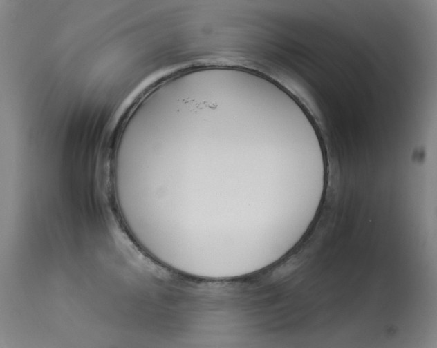 X0000114141000200910081022