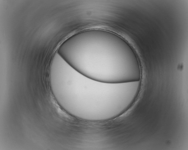 X0000114141001200910081022