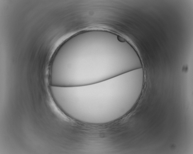 X0000114141003200910081021