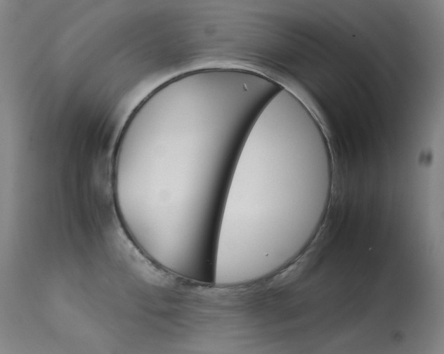 X0000114141004200910081021