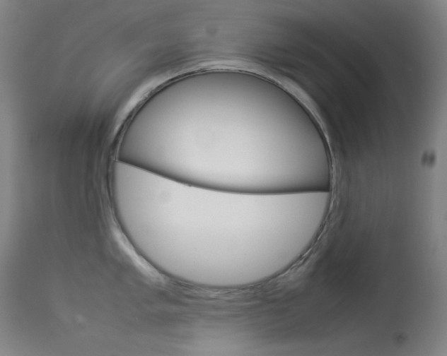 X0000114141005200910081021