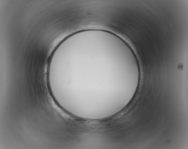 X0000114141006200910081021